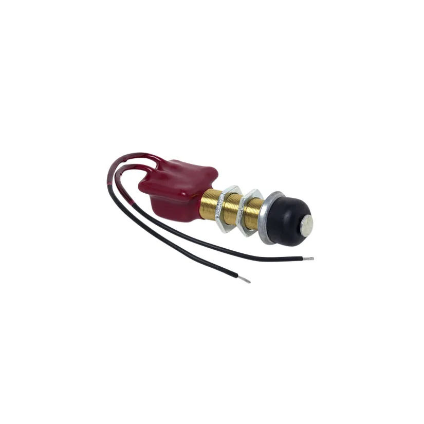 Push Button Switch SPST On/Mom Off Sealed